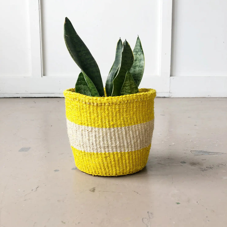 Storage Plant Basket - Lemon Zest