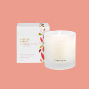 Cinnamon Cedar Holiday Candle