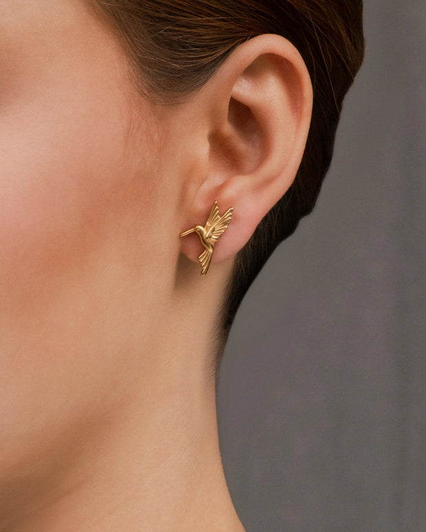 Gold Hummingbird Stud Earrings