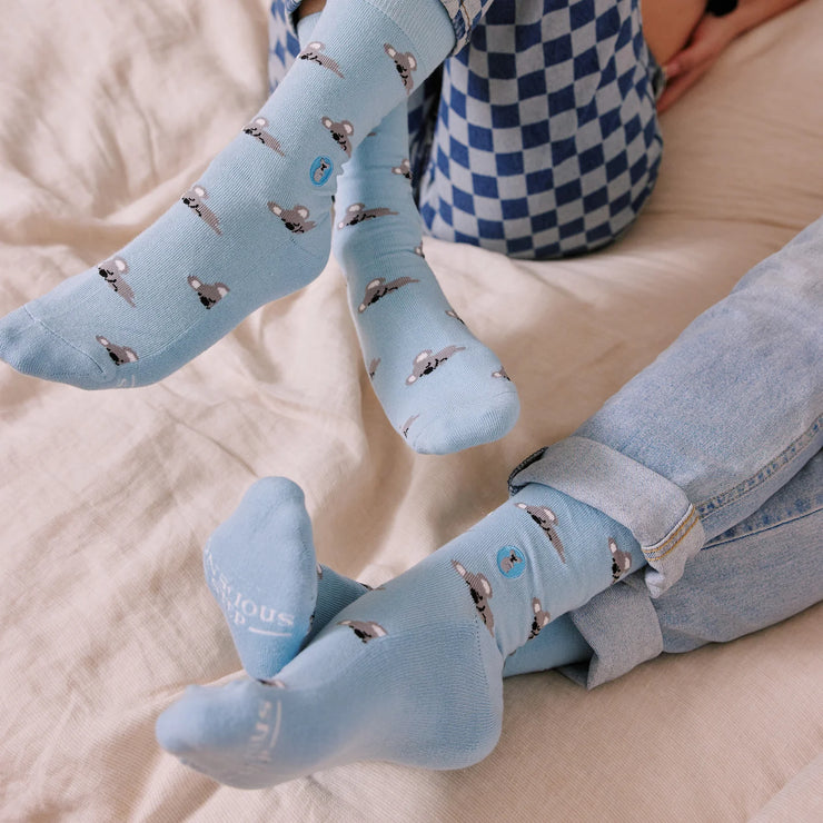 Socks that Save Koalas