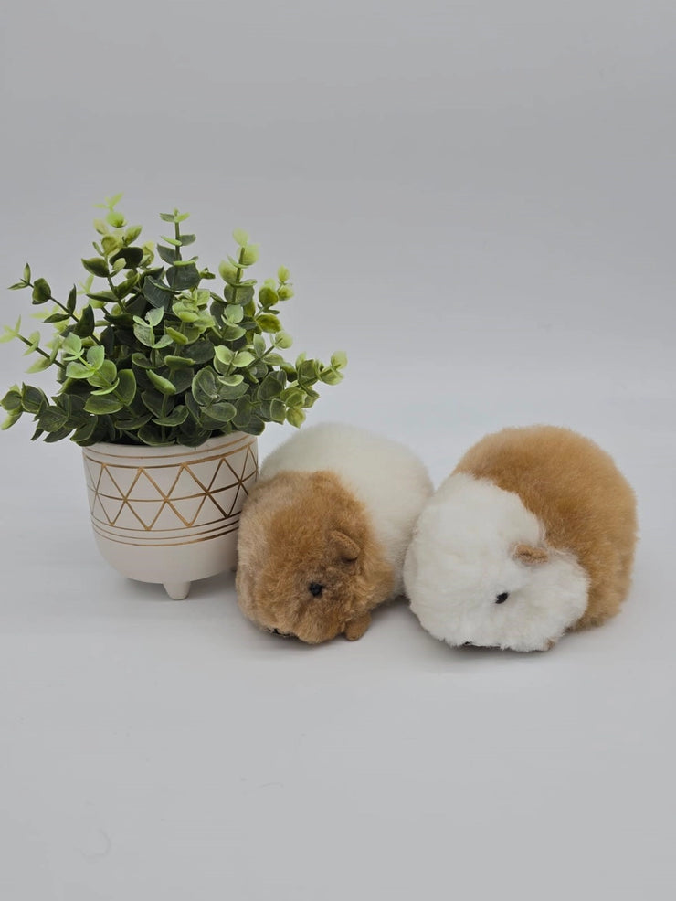 Baby Guinea Pig Stuffie - Mango + Main