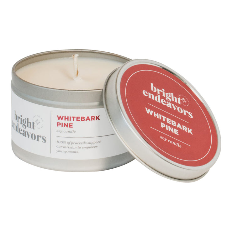 Whitebark Pine Candle - 8oz Tin