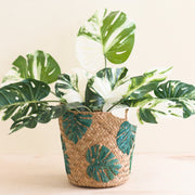 Monstera Embroidered Plant Basket