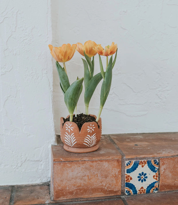 Petals Terracotta Planter Pot