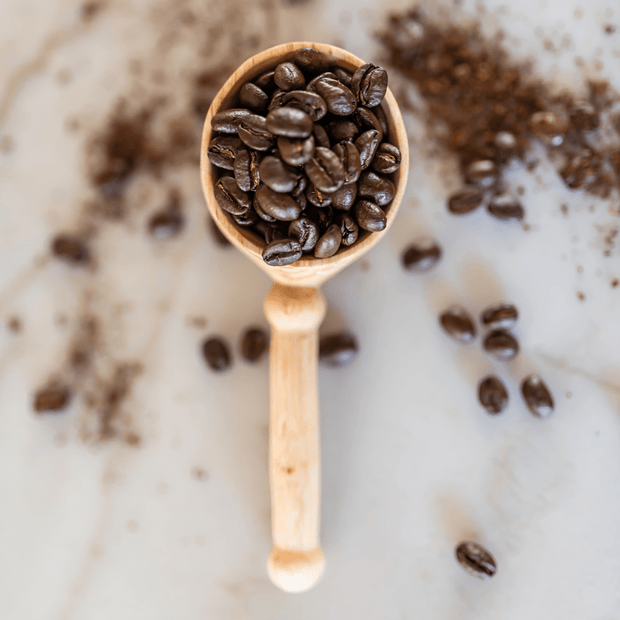 Gentry Coffee Scoop - Mango + Main