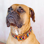 Handwoven Dog Collar