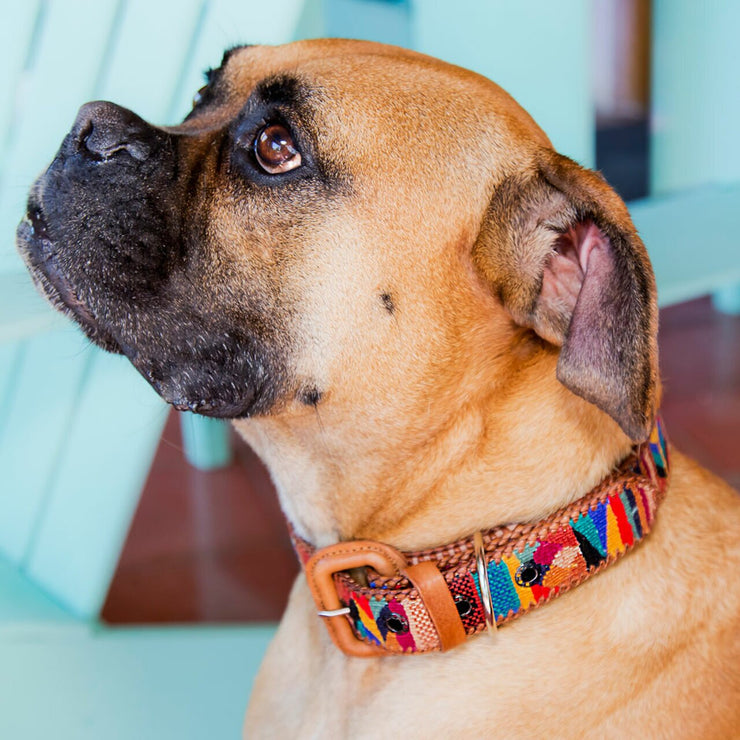 Handwoven Dog Collar